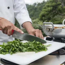 OUTDOOR COOKING